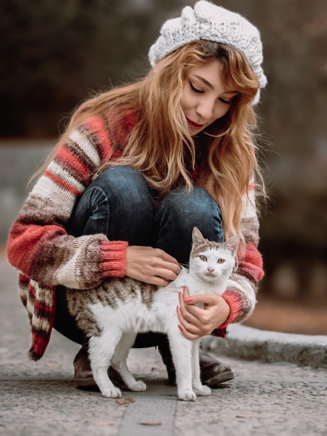 cats, baby talk, communication, curiosity, tone, bonding, comfort, attention, individuality, connection,