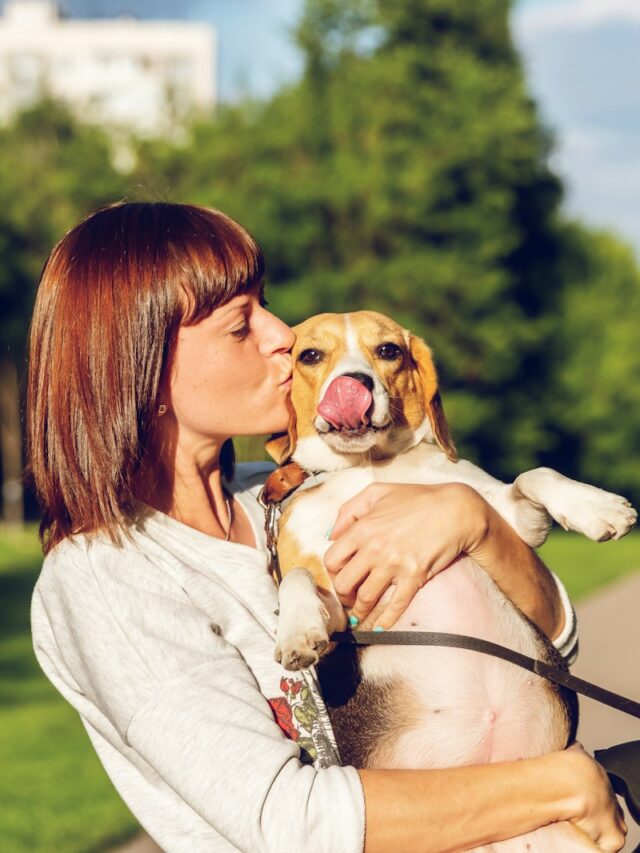 dog affection, canine love, signs of affection, dog bonding, dog behavior, pet care, dog happiness, canine communication,